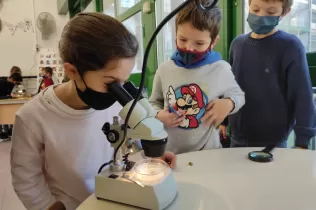 whatsapp image 2020 10 15 at 15.45.21 2