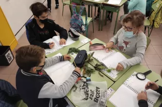 whatsapp image 2020 10 15 at 15.45.23 2