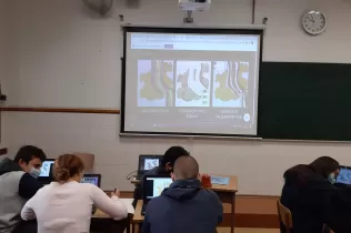 whatsapp image 2020 11 11 at 10.15.52 1