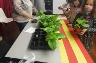 whatsapp image 2021 04 27 at 17.17.28 2