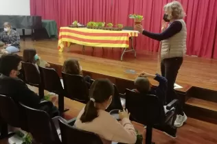 whatsapp image 2021 04 27 at 17.17.29