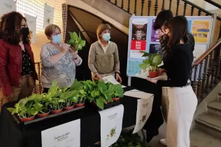 whatsapp image 2021 05 26 at 10.14.23 1