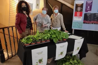 whatsapp image 2021 05 26 at 10.14.24