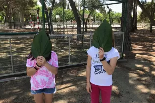 obertura 9 06 pin 3 12