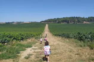 whatsapp image 2020 07 23 at 15.18.35