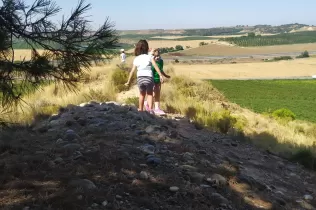 whatsapp image 2020 07 23 at 15.18.36