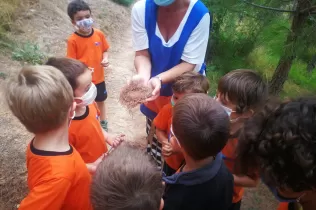 whatsapp image 2020 09 24 at 10.44.23