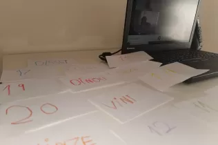 pin2 confinament 202010 7