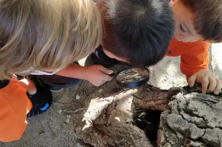 img 20200930 154118 2