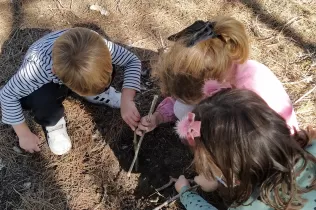 img 20201016 155449 2