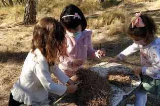 img 20201016 155529 2