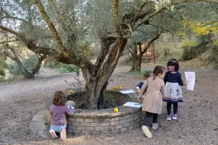 img 20201023 155456 2