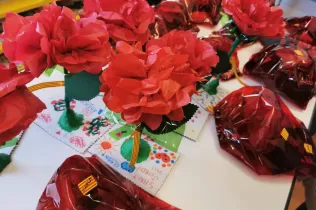 sant jordi pin2 3