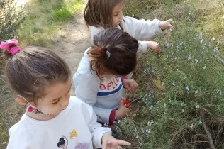 a img 20210323 153937