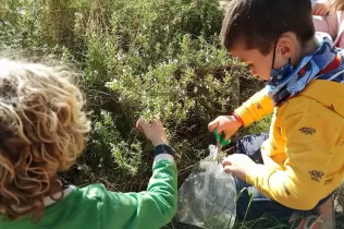 a img 20210323 154528