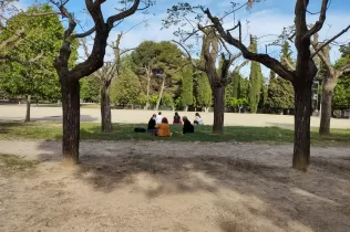 whatsapp image 2021 05 07 at 12.41.17