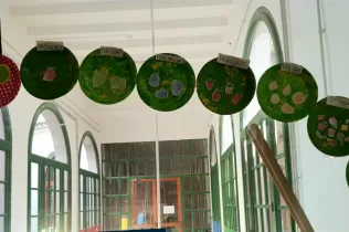 mopip5 caterpillar 1