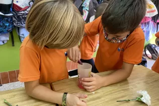 foto 30 9 21 15 34 27