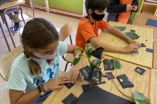 foto 30 9 21 15 49 24