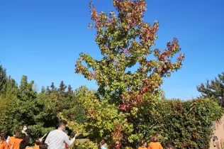 foto 7 10 21 22 23 45