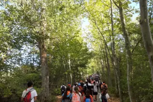 whatsapp image 2021 10 15 at 10.12.58 2