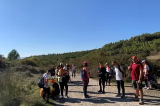 whatsapp image 2021 10 15 at 10.12.58 3