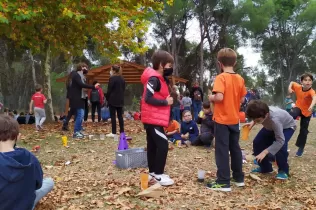 whatsapp image 2021 10 29 at 15.51.17