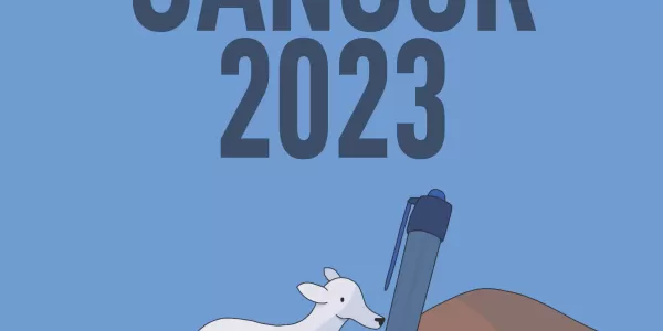 Proves Cangur 2023