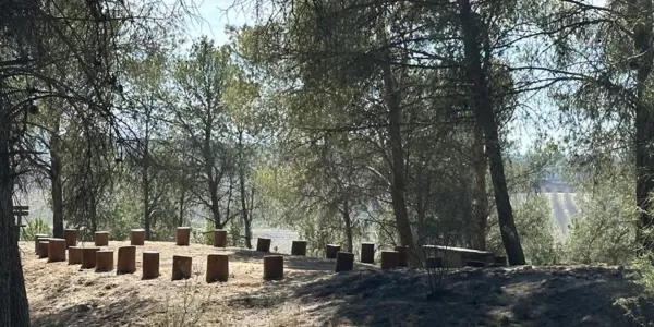 Nou espai de cercle de troncs creat al bosc del Claver en el marc del projecte Claver Natura