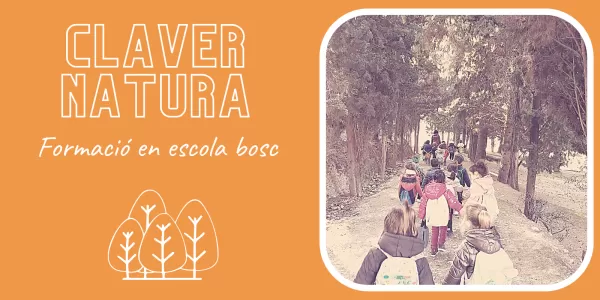WEB_Icona Notícia_Claver Natura