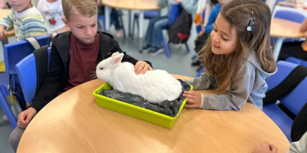 Alumnes de 1r de Primària de Jesuïtes Casp coneixen un conill