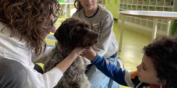 Alumnes de MOPI 5 treballant el projecte dels animals i rebent famílies del curs que els han fet activtat per conèixer els gossos com animals domèstics