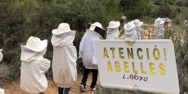 Alumnes de 2n de primària dirigint-se al rusc a Cal Gort, en el marc del taller d'apicultura. 