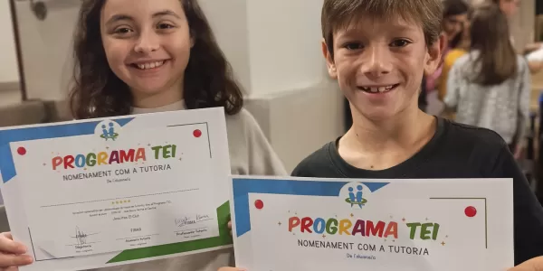 Programa TEI