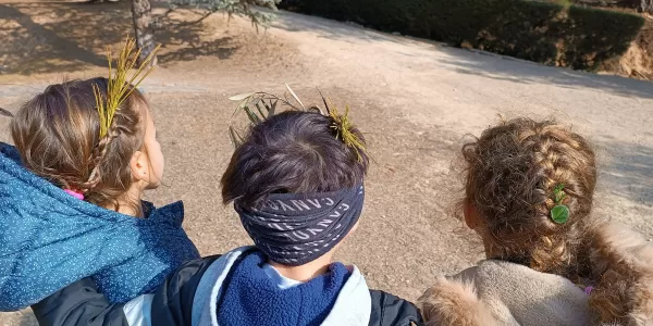 Alumnes de 1r de primària en una sessió de bosc del projecte Claver Ntura al bosc de l'escola