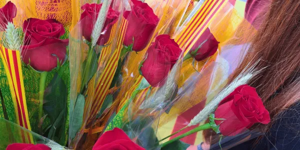 Sant Jordi 