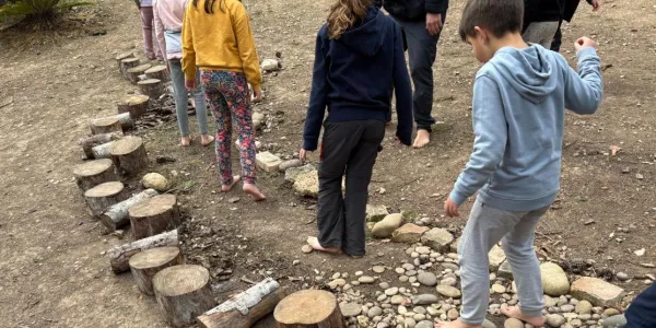Alumnes de la PIN 3 de Jesuïtes Lleida en una sessió de bosc en el marc del projecte Claver Natura