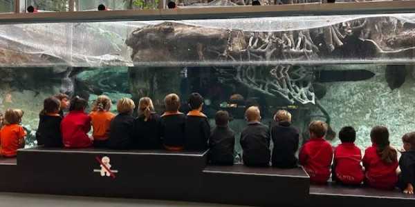 Cosmocaixa-infantil-MOPI5-SantIgnasi