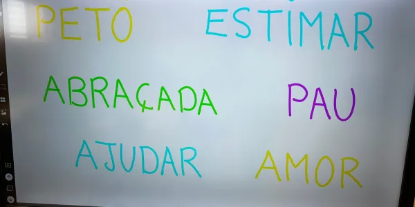 Accions Gaza - Sant Ignasi