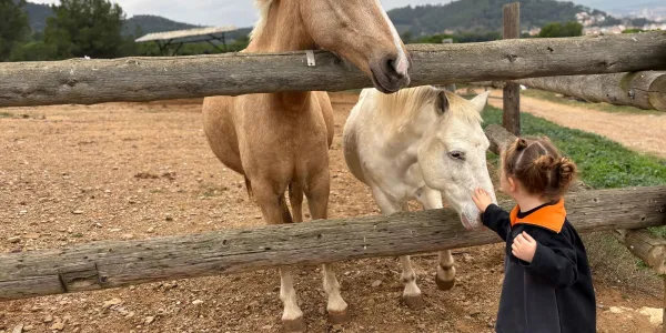 Sortida a la granja escola Can Sala amb MOPI3