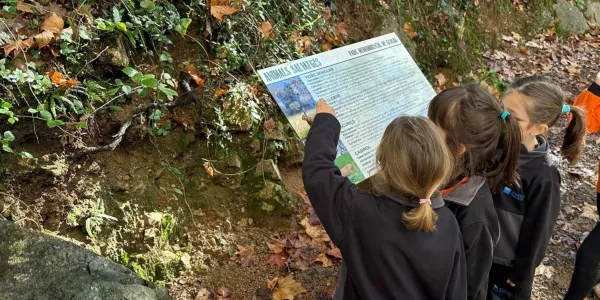 Sortida al bosc de Gualba
