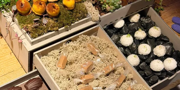 Armonia-DireccioCuina-FP-SantIgnasi