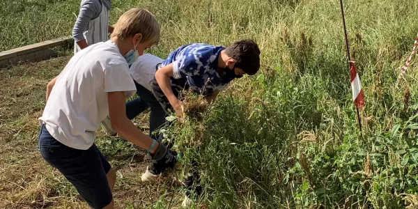 icono aula de natura