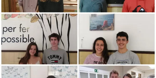 collage 20201008 115014