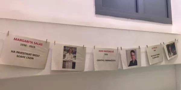 whatsapp image 2020 02 11 at 09.23.54 3