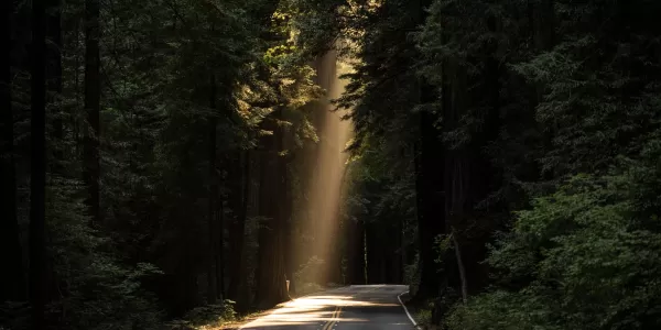 tanquem la nostra escola