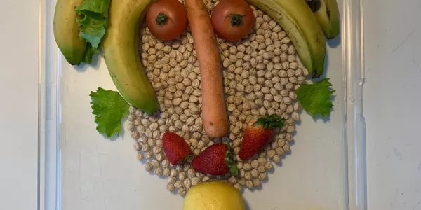 mopi p5 arcimboldo 1