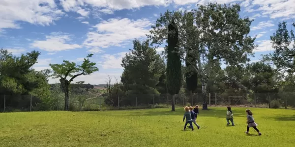 whatsapp image 2020 06 19 at 08.35.37