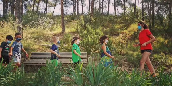 whatsapp image 2020 07 23 at 16.42.53