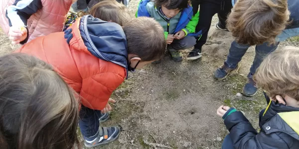 img 20201119 161620 lr